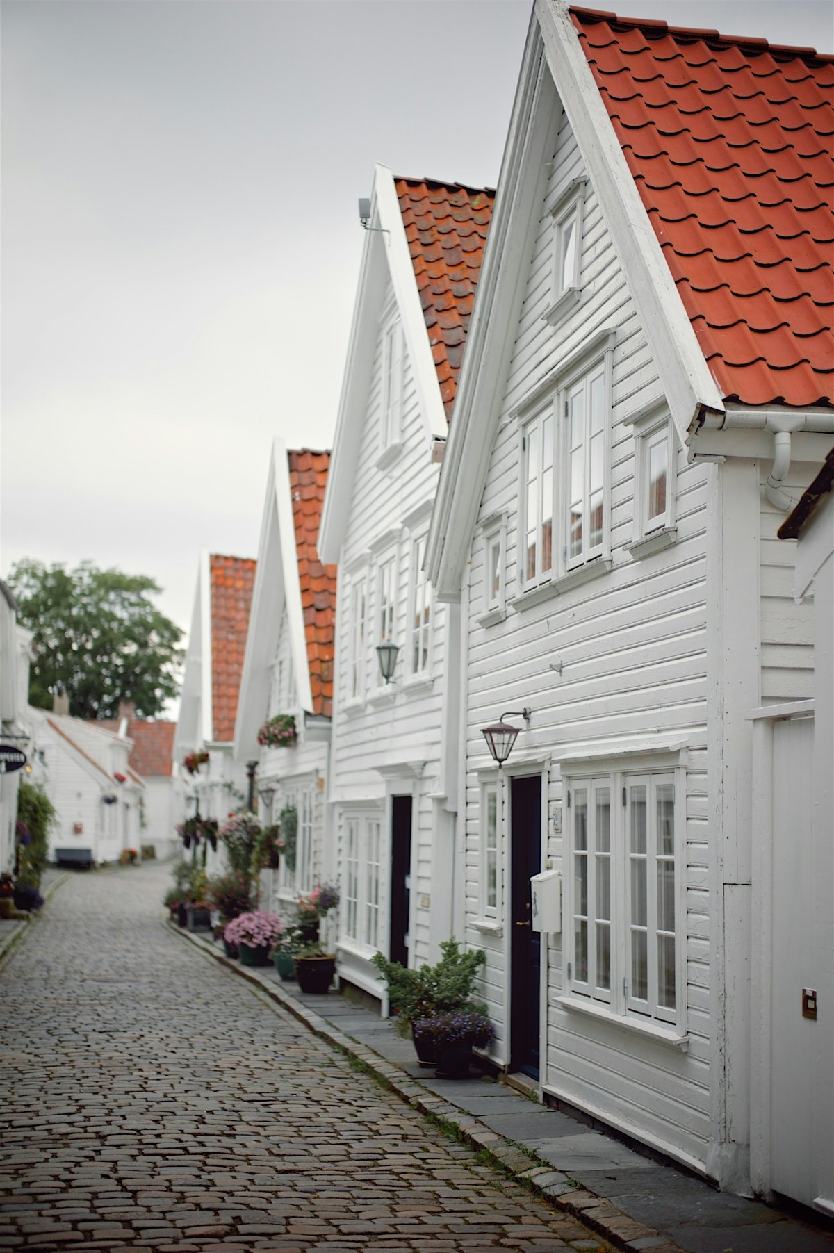 Wooden houses with brick road between